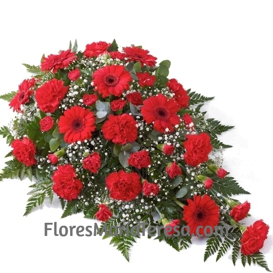 Centro Funerario Rojos